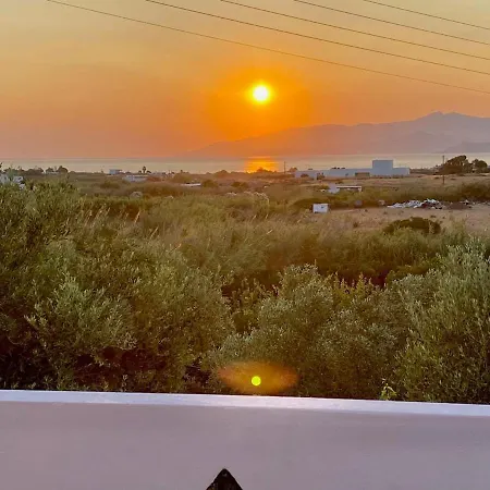Gorgeous White Marsis In Paros *