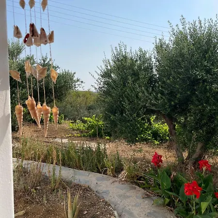 Appartement Gorgeous White Marsis In Paros *